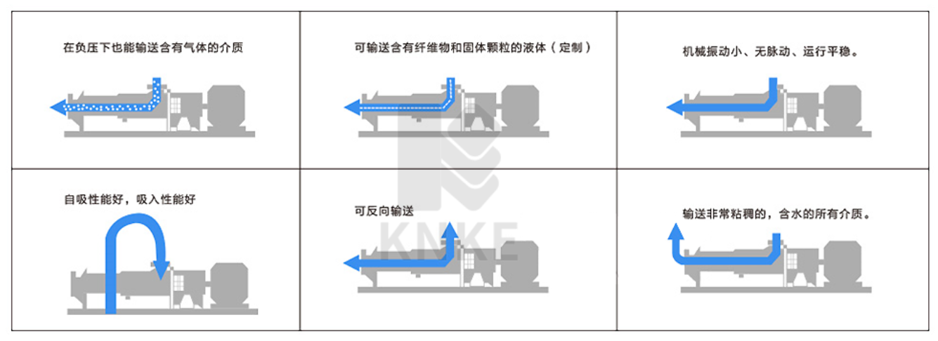 进口无极调速螺杆泵(图1)