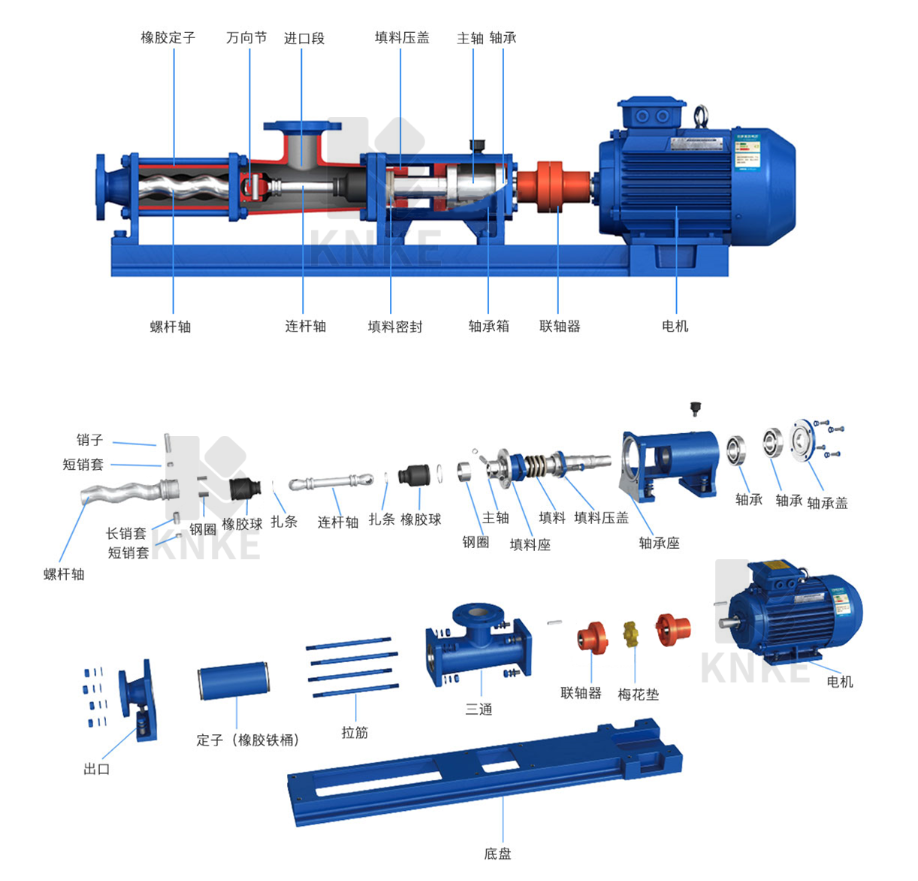 进口无极调速螺杆泵结构图