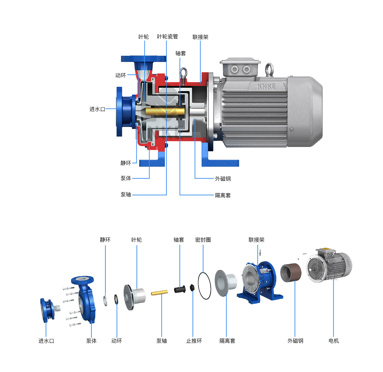 氟塑料磁力驱动泵结构图.png
